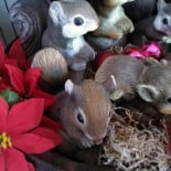 Hoffmeister Haus Boisson