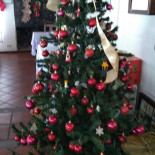 Hoffmeister Haus Extérieur