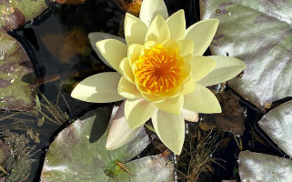 Bodega Saldungaray Bebida