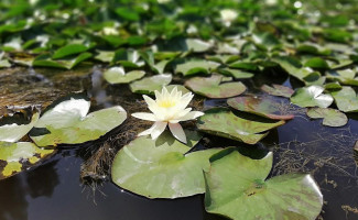 Bodega Saldungaray Bebida