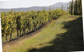 Bodega Saldungaray Exterior