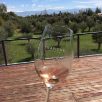 Bodega Trapiche drink