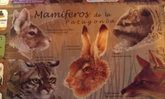 Pizzería Casa Tua Carta