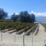 Comedor Marita Extérieur