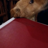 Confiteria Automoto drink