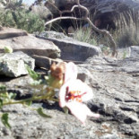 Confiteria Automoto outside