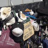 Confiteria Automoto outside