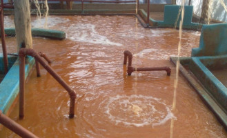 Termal, Pedro Luro Dentro