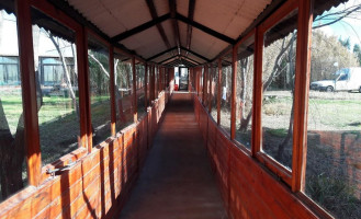 Termal, Pedro Luro Dentro