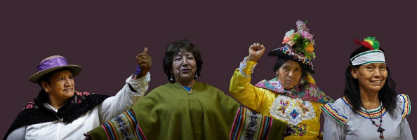 Fenmucarinap PerÚ Bebida