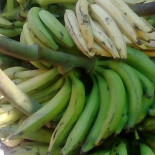 Qollqa Eco Cafe Bebida