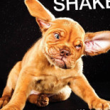 Qollqa Eco Cafe Bebida