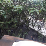 El Almacén De Celeste