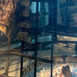 Urijib- Parrilla Asador Estilo Coreano 우리집 식당 한국식 맛있는 아사도 Innen