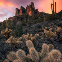 Pizza Sur Extérieur