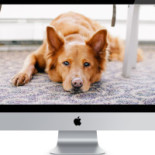 Antojitos Ahumados Bebida