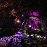 Lolla Lounge Exterior