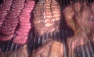 Parrilla Las Palmeras food