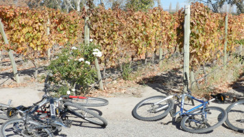 Wine Bike Tour En Mendoza outside