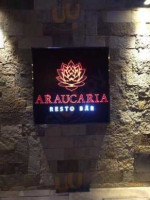 Araucaria food