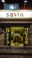Salvia outside