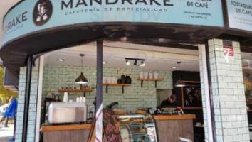 Café Mandrake food