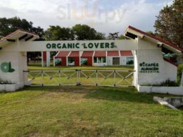 Organic Lovers food