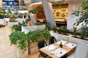 Jardín À l'intérieur