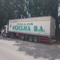 Noelma Sa outside