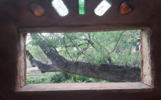 Puerto Yala Cocina Bioconstrucción food