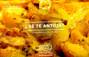 Andina Food Center food