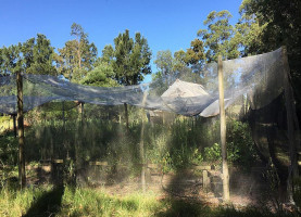 Arandanos Extérieur