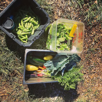 Ciclista Deli Cafe Comida