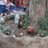 Entre Pisco Y Pebre outside