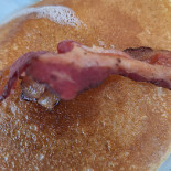 Entre Pisco Y Pebre food