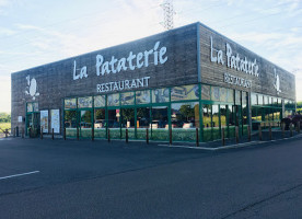 Arbol De Papel Exterior