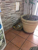 Heladeria Las Delicias Extérieur