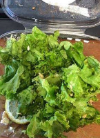 Pita Oliva Nourriture