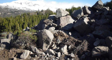 Oregon Grill And Cabins outside