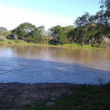 Comedor De Pescados Don Carmelo