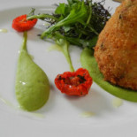 Camelia Sensi Comida