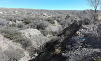 Lechones Avalos outside