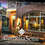 Camelia Sensi Exterior