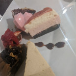 Camelia Sensi Comida