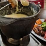 Camelia Sensi Bebida