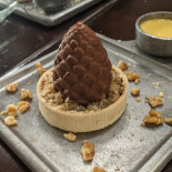 Camelia Sensi Comida