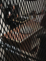 Candida Pizzeria Boisson