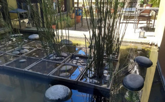 Rossita Restaurant Exterior