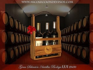 Mi Coleccion De Vinos