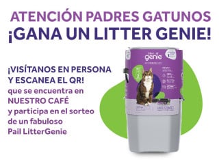 El Mundo De Dalí Catcafe